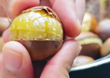 Steamed Chestnuts