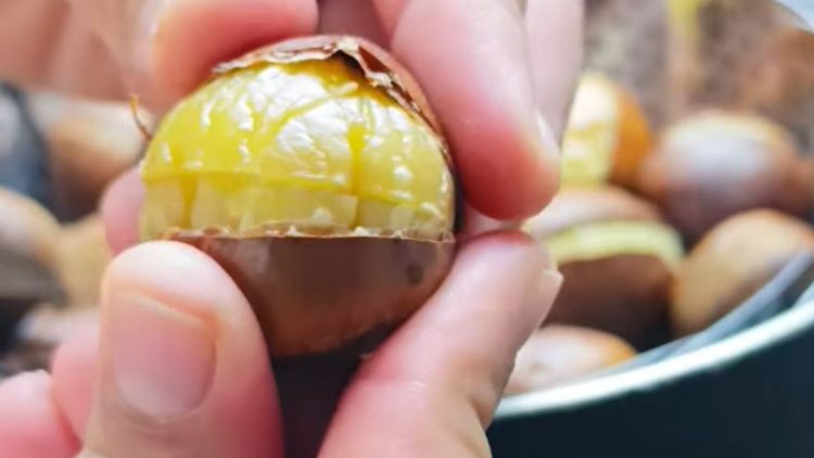 Steamed Chestnuts