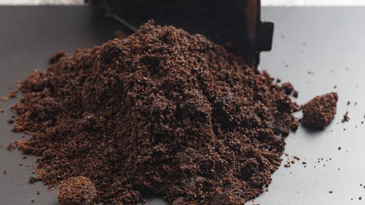 Coffee grounds are incredibly useful in winter. Many people don't realize this and throw them away