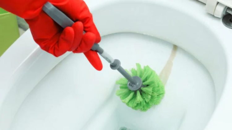 How to Remove Limescale Rings from Your Toilet