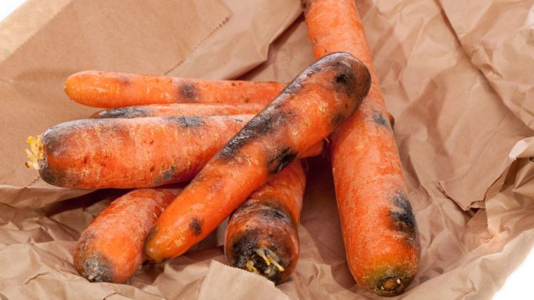 Mold or Just Dirt: Is It Safe to Eat Carrots with Black Spots?
