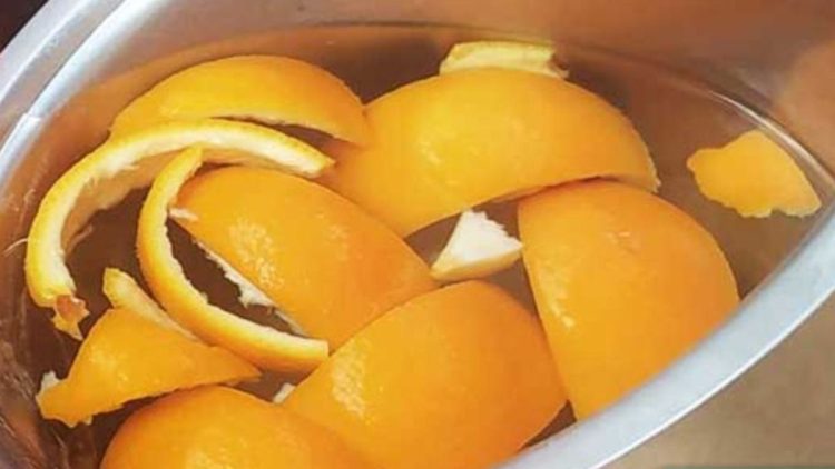 Make Your Own Dishwashing Liquid from Orange Peels