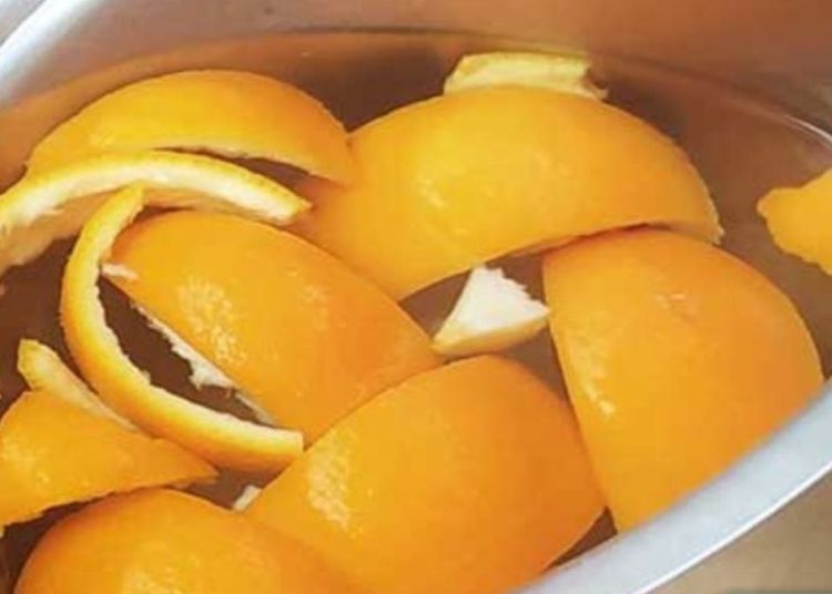 Make Your Own Dishwashing Liquid from Orange Peels